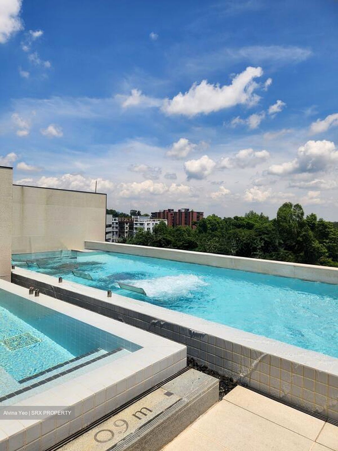 8 Napier (D10), Condominium #497983321